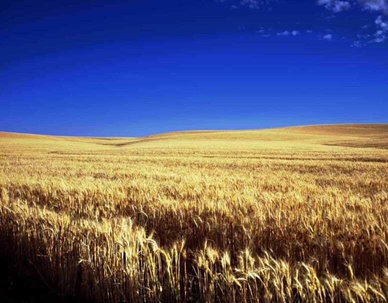 Památné věci, které můžete dělat v Kansasu
